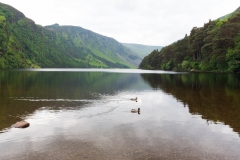 GlendaLough from Irish Gleann Dá Loch, meaning "Valley of two lakes". Here we can see the larger of the two lakes (The Upper Lake)